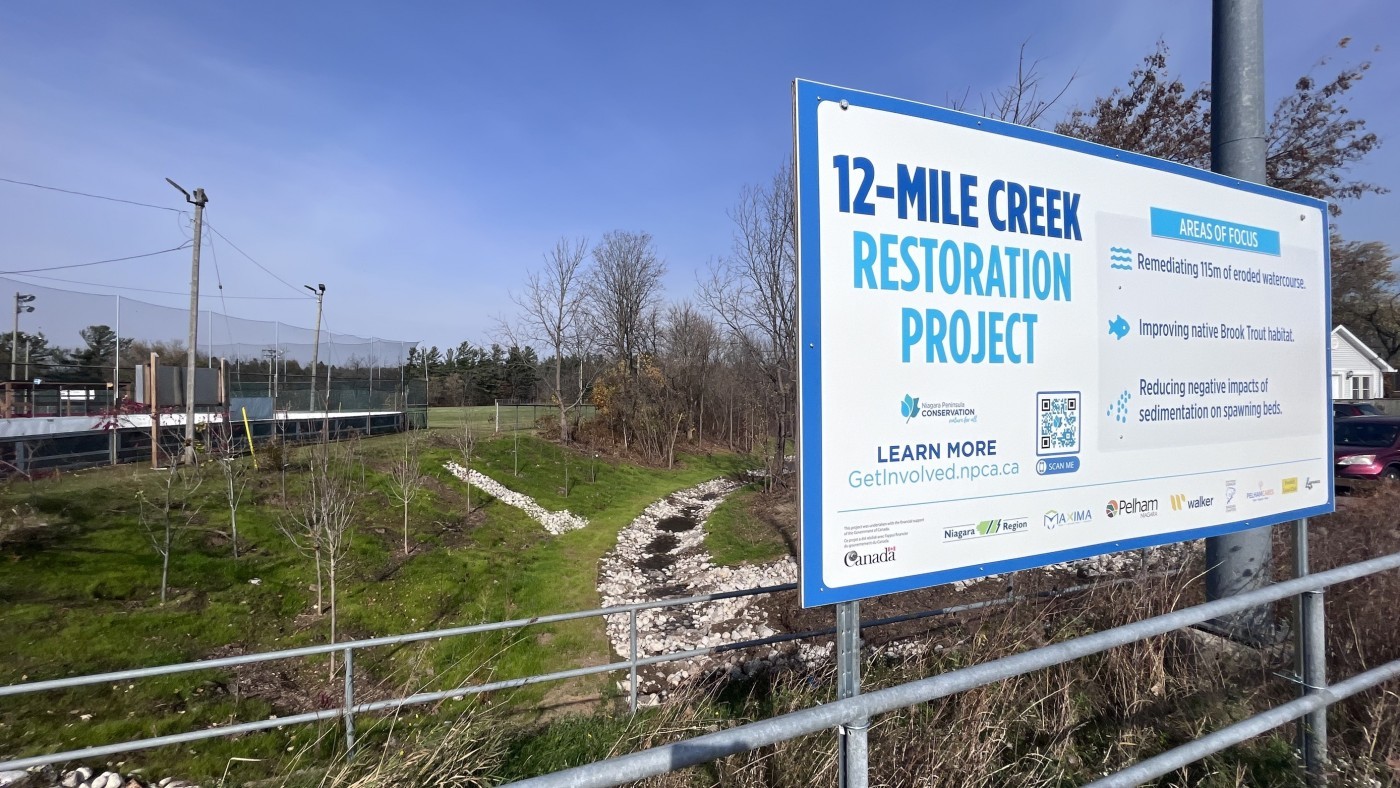 View from pedestrian bridge shows completed restoration project on 12 Mile Creek 