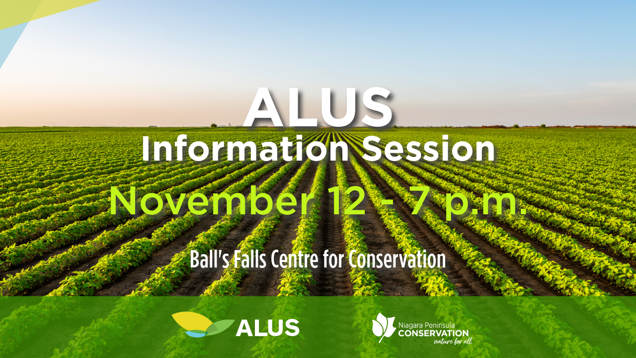 Poster for ALUS information session with details of November 12 at 7 pm and ALUS and NPCA logos 