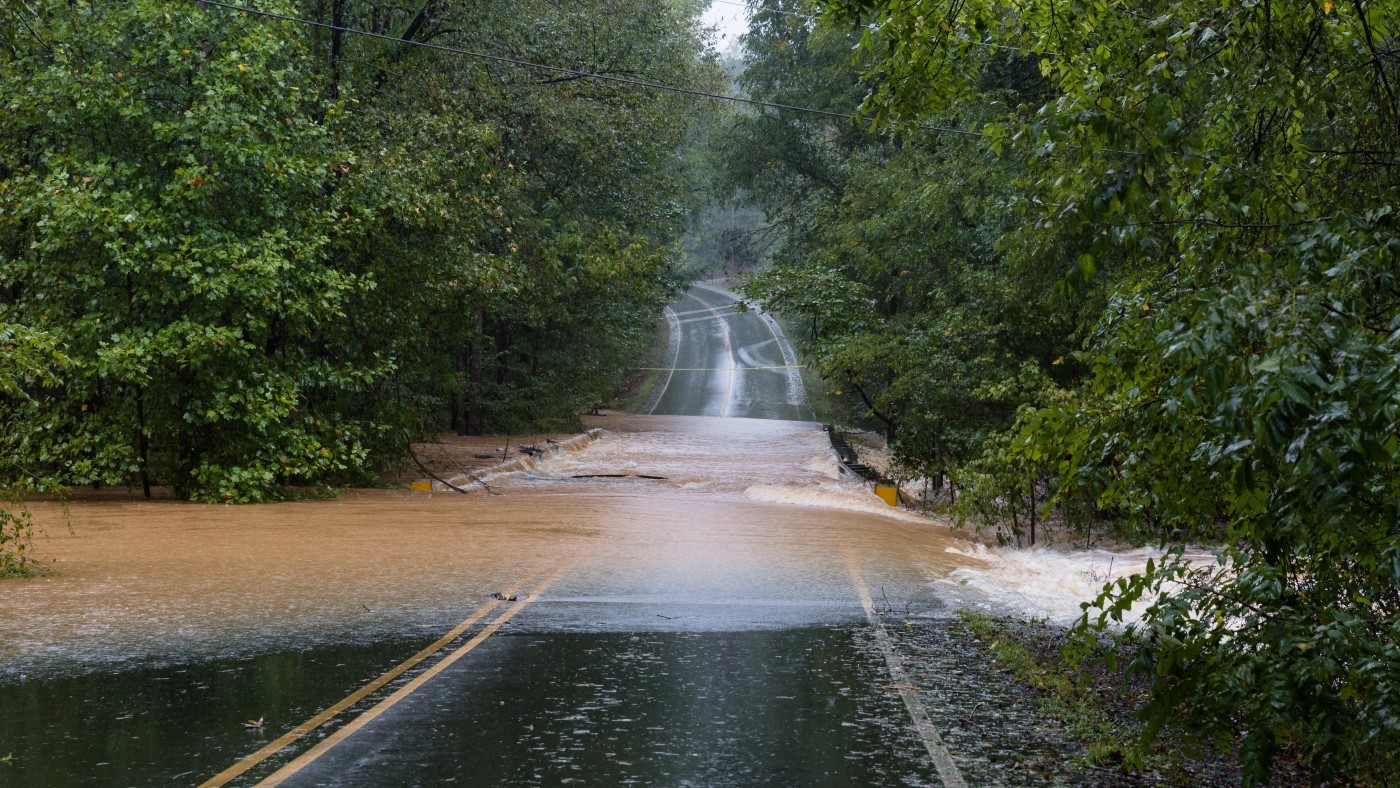 A flooded road, with trees on both sides.