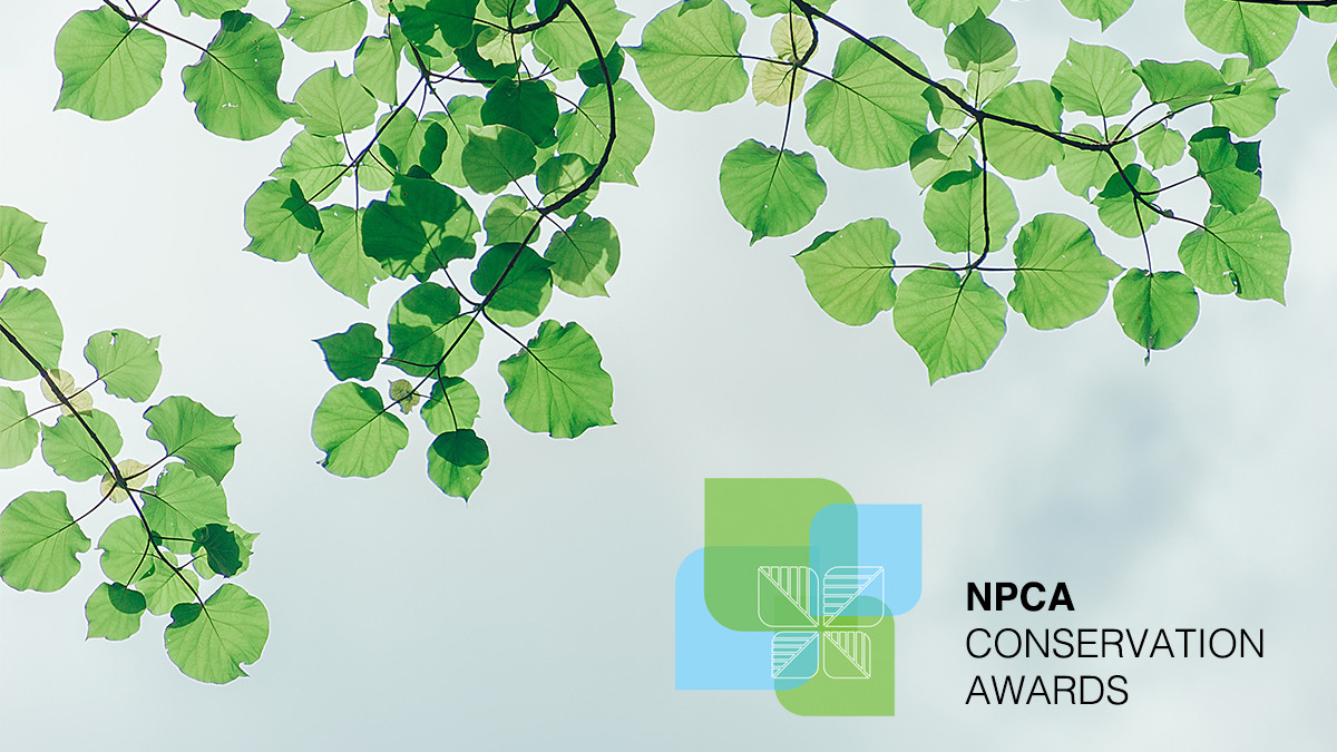 Tree branch and award logo