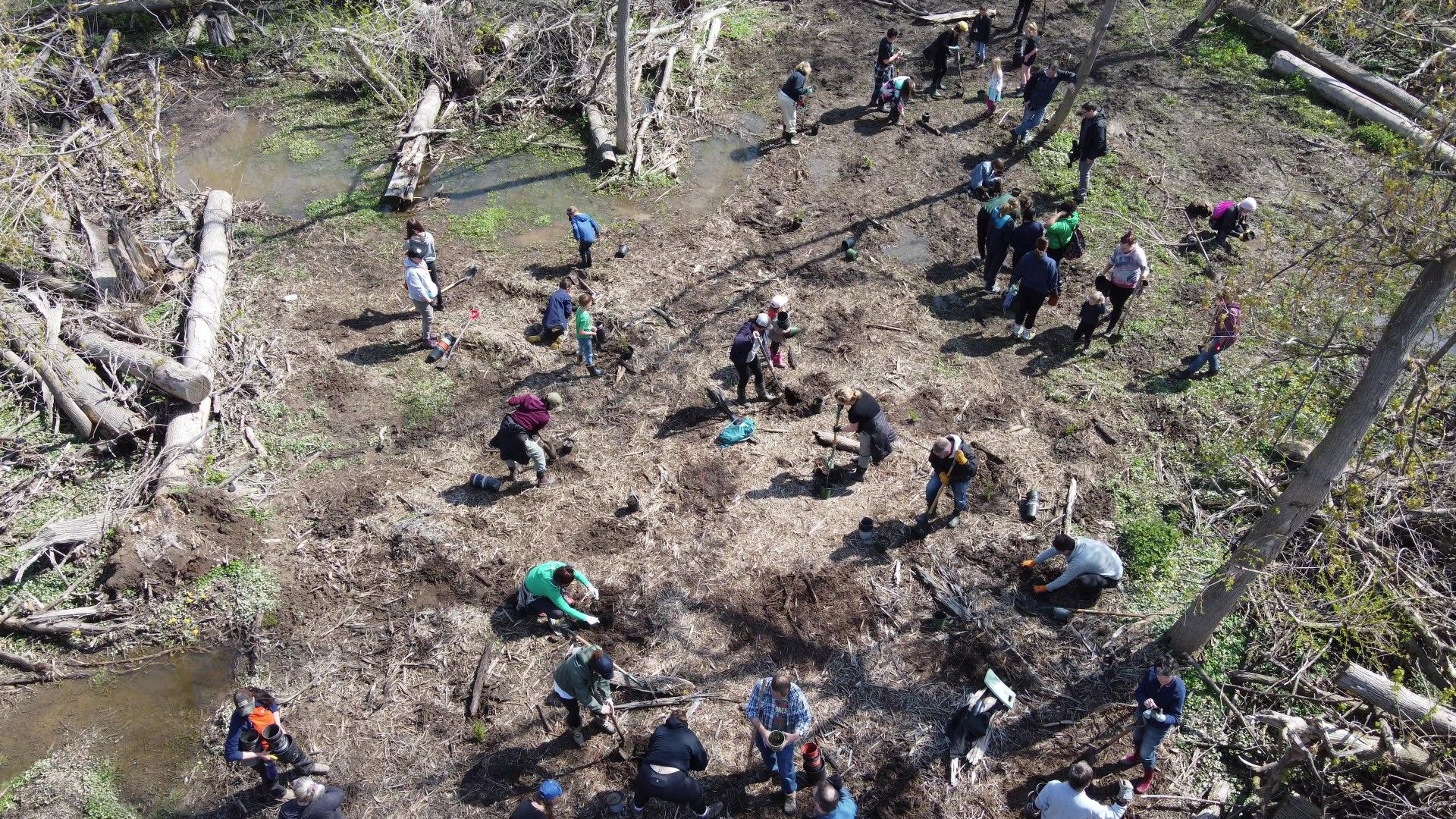 volunteers planting at two mile creek