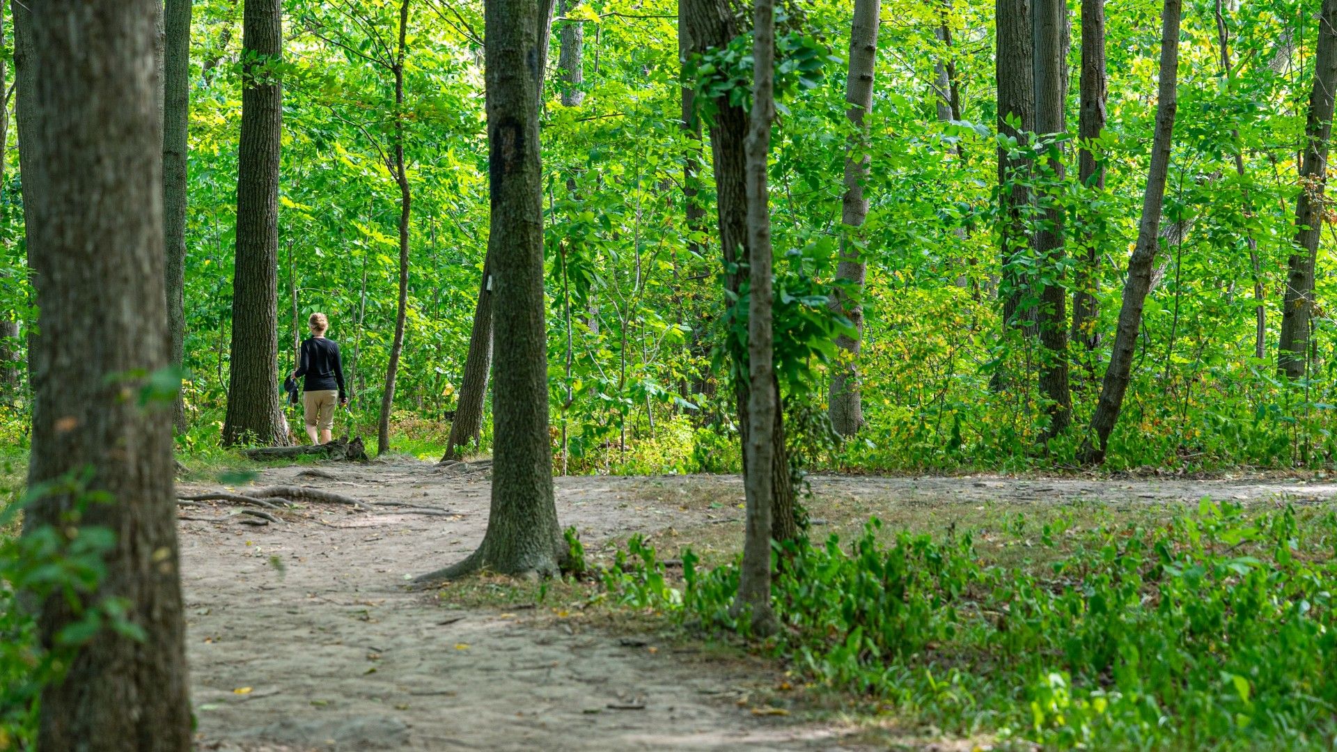 woodend park trail nature