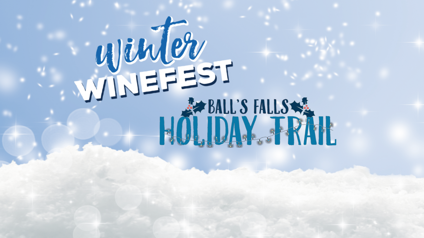Blue and white background graphic with Winter Winefest and Balls Falls Holiday Trail written 