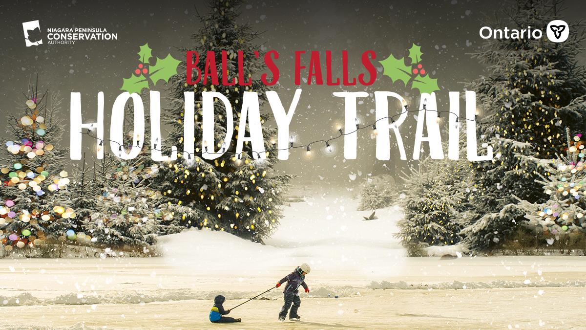 Graphic with a Winter theme and logo of the Balls Falls Holiday Trail