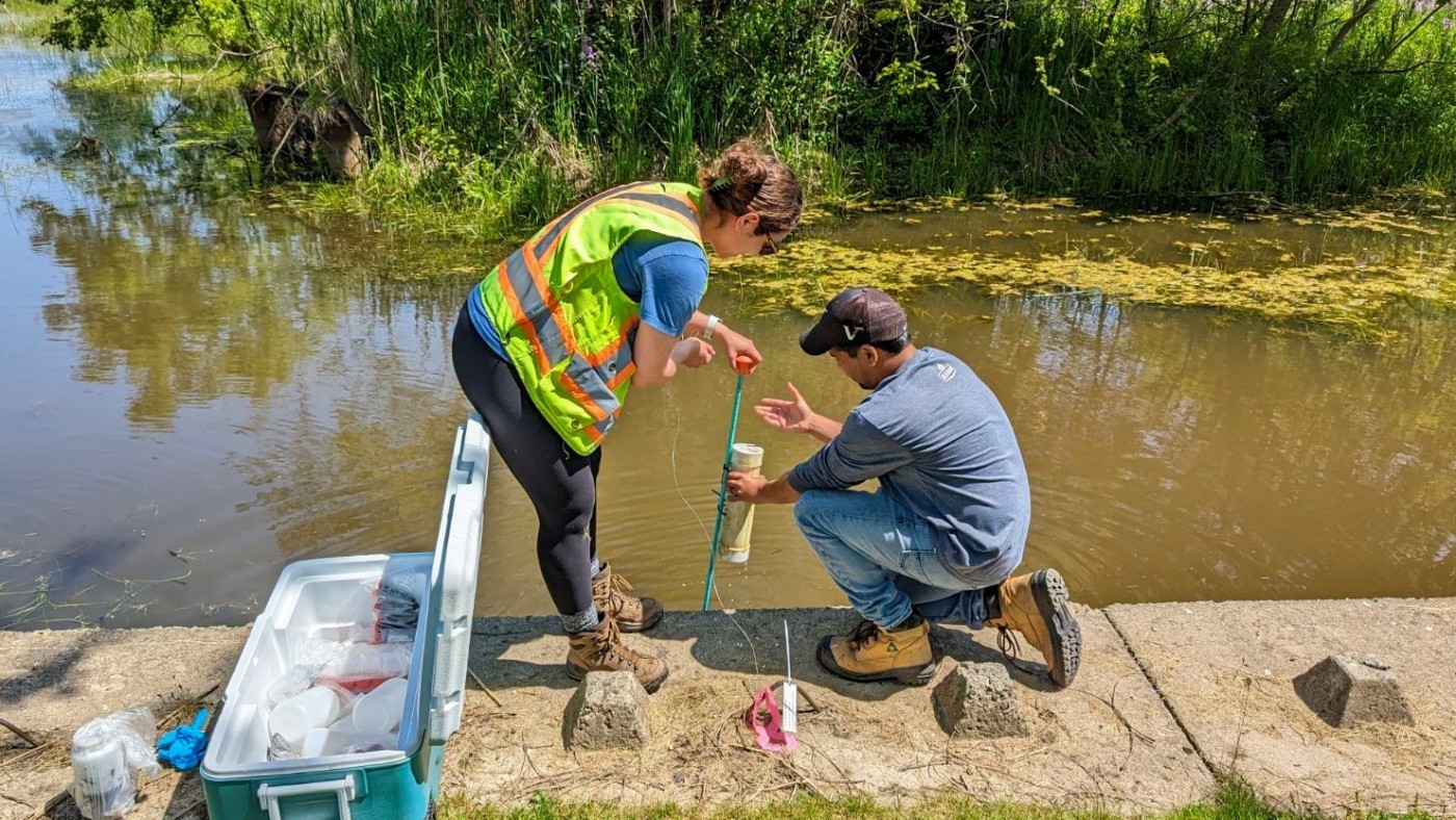 Brock researchers Kelly Biagi and Vaughn Mangal are gathering samples from the Wignell Drain near Lakeshore Road in Port Colborne to examine contributing factors of algae blooms