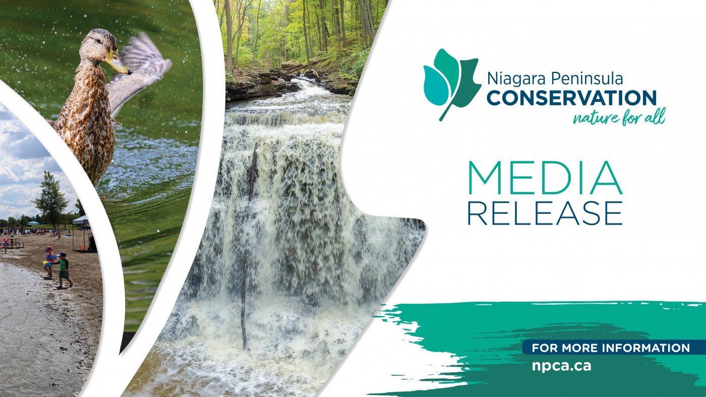 Media release graphic