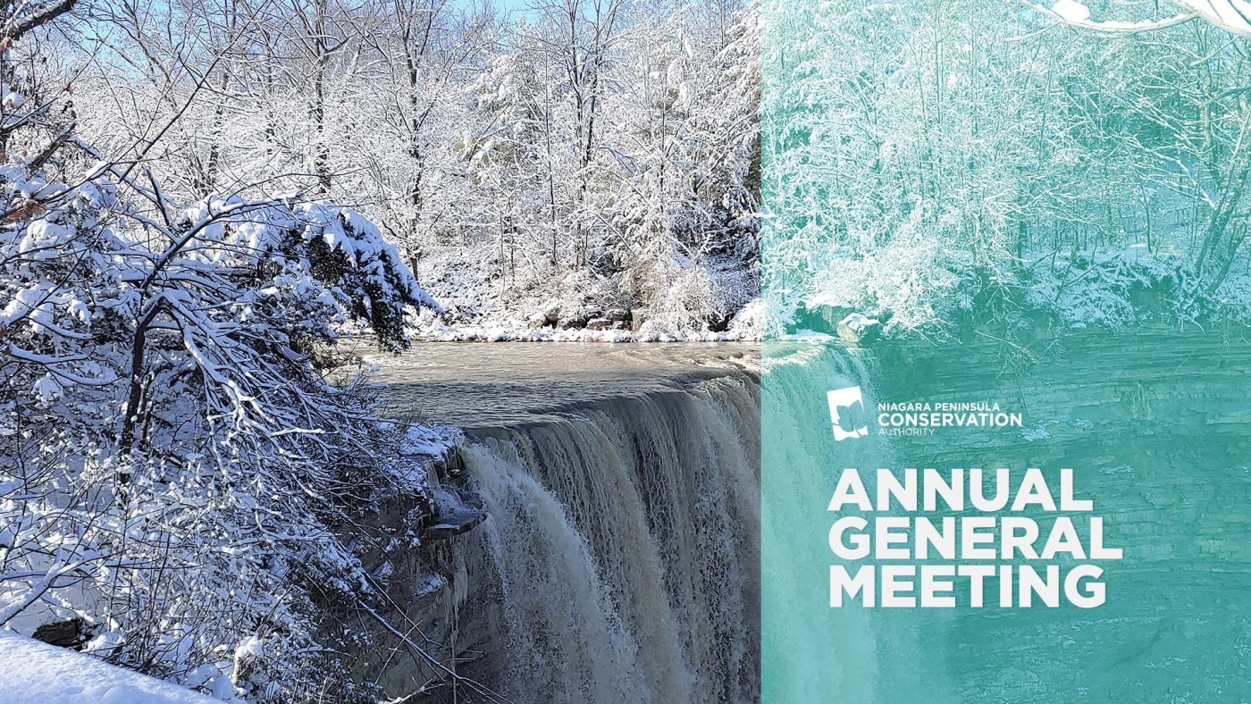 Annual General Meeting Graphic- Frozen Balls Falls Waterfall 