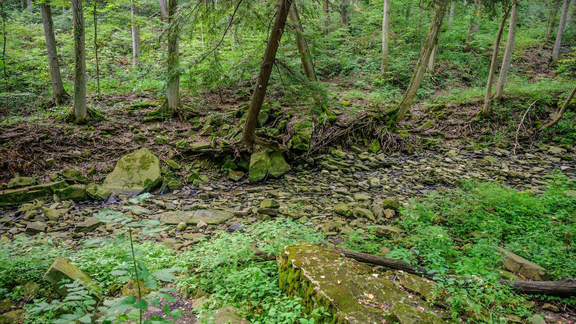 Beamer Memorial in late summer waterway is dry