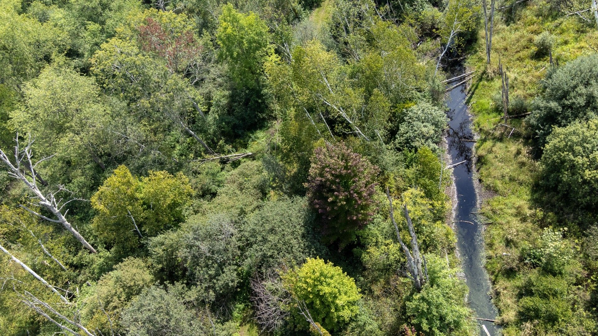 aerial shot of the bog in wainfleet