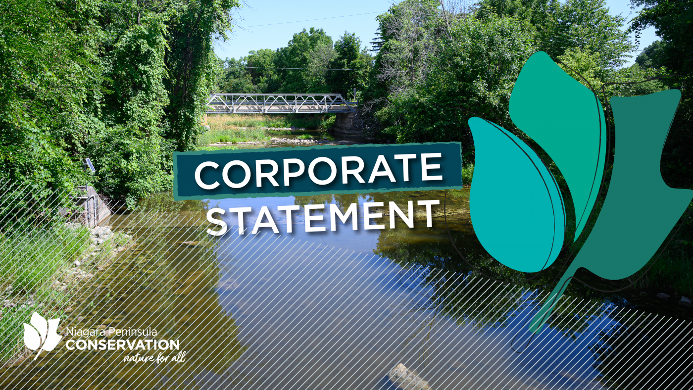 Corporate statement graphic, tulip leaf in blues and greens, background of balls falls creek