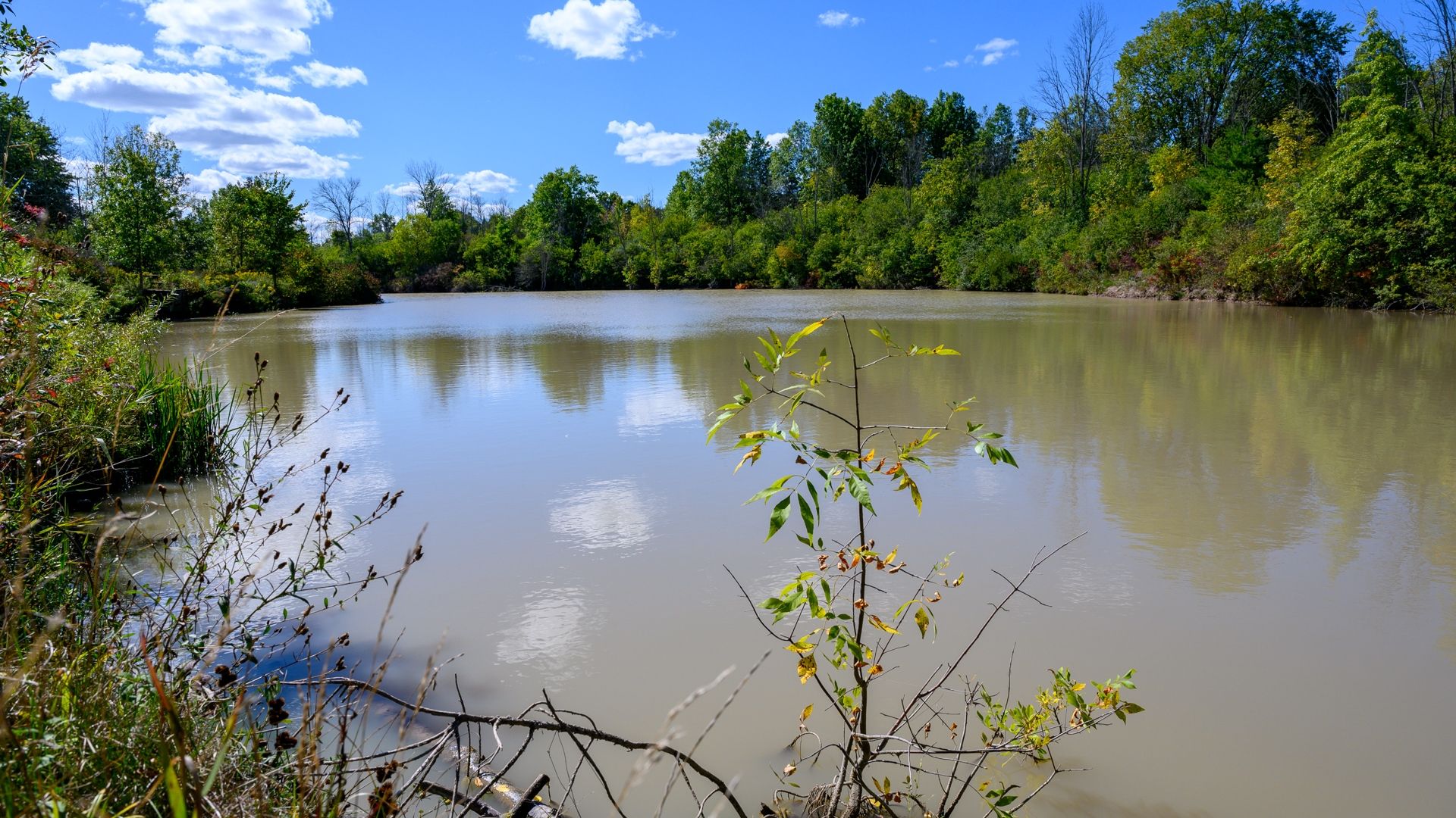 Fishing pond in late summer