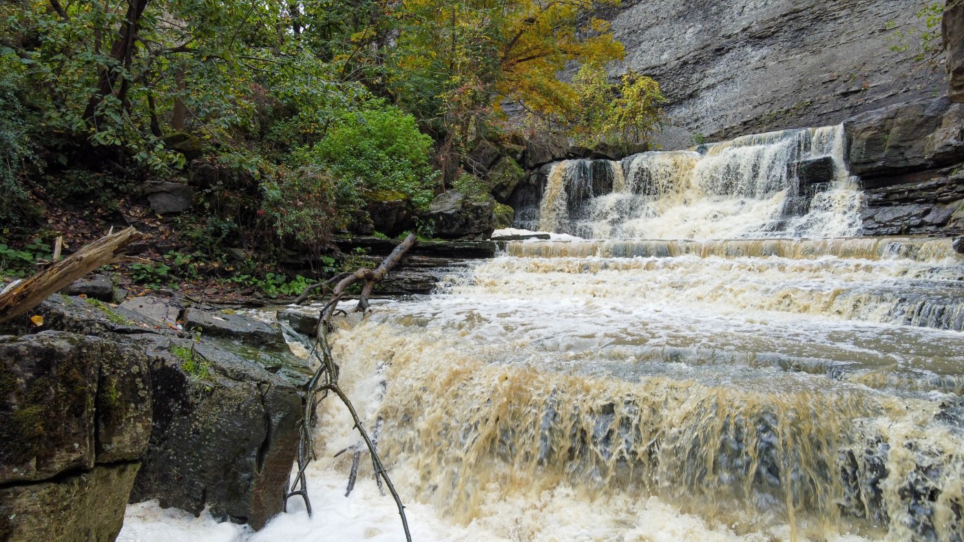 photo of waterfall in the Rockway Conservation Area