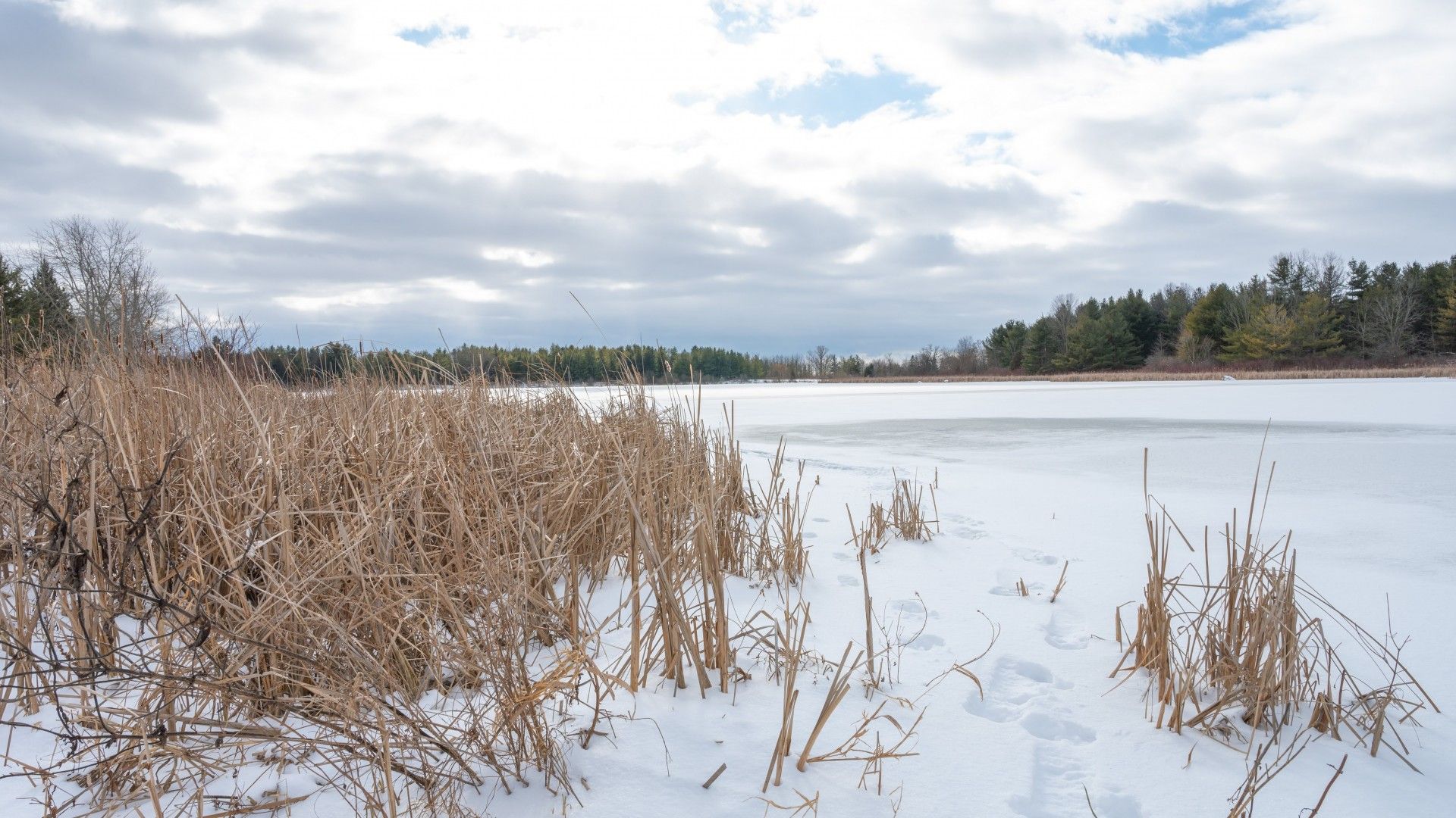 Dils Lake, blanketed in snow and ice.