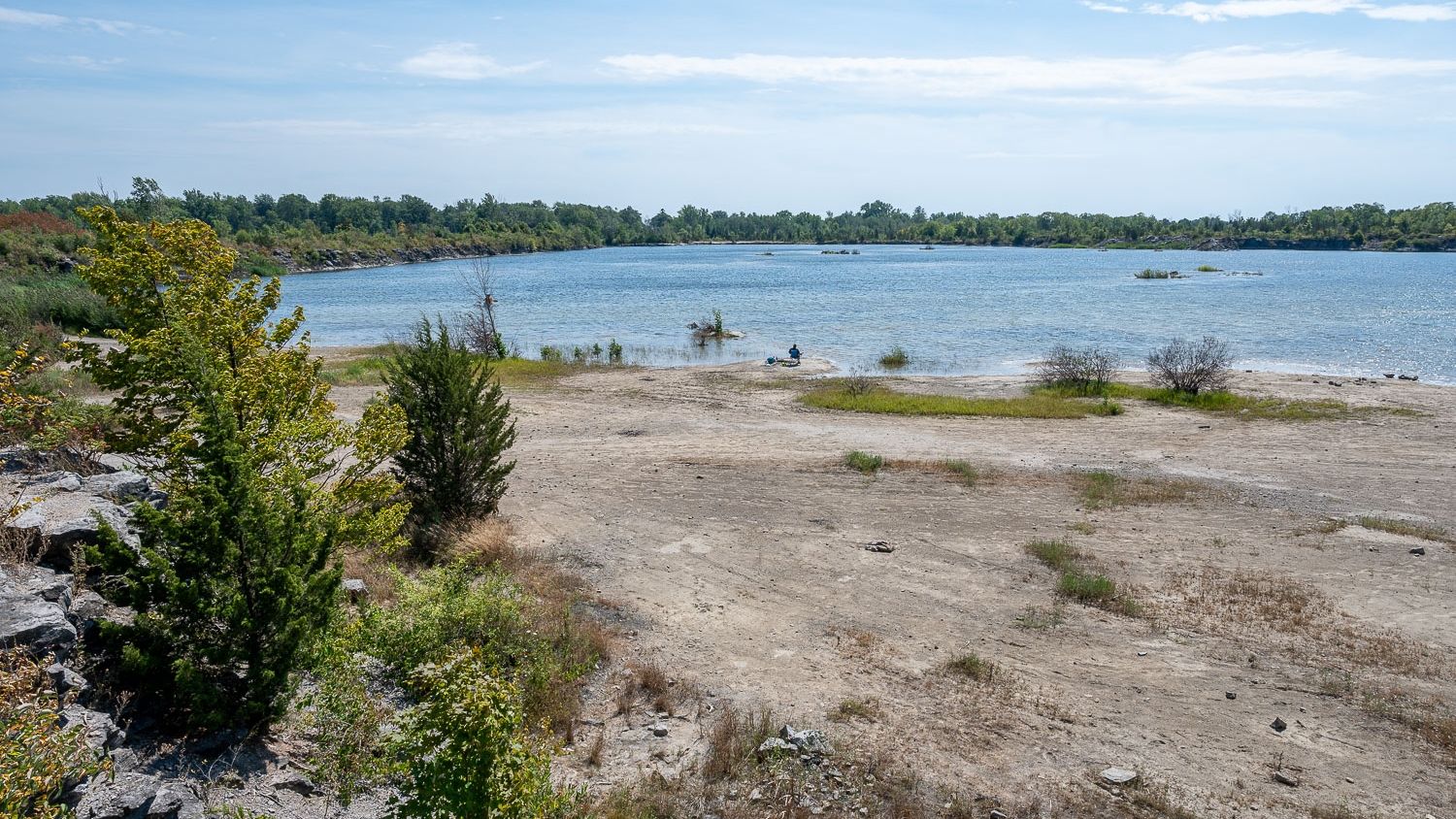 Summer at Wainfleet, water and pine trees