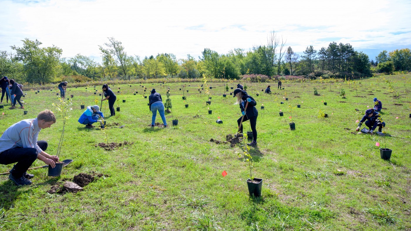 Partners and volunteers gathered to plant trees at Binbrook