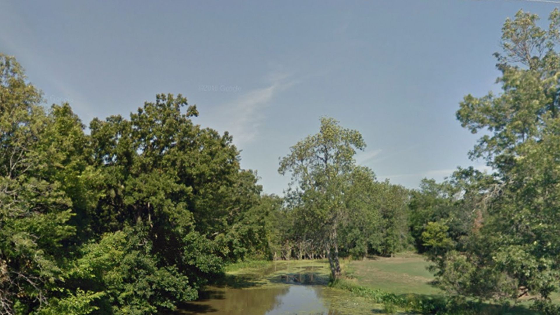 Exterior of park with lush trees and grass