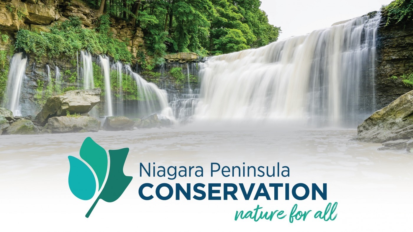 Photo of Balls Falls with NPCA logo with tulip leaf