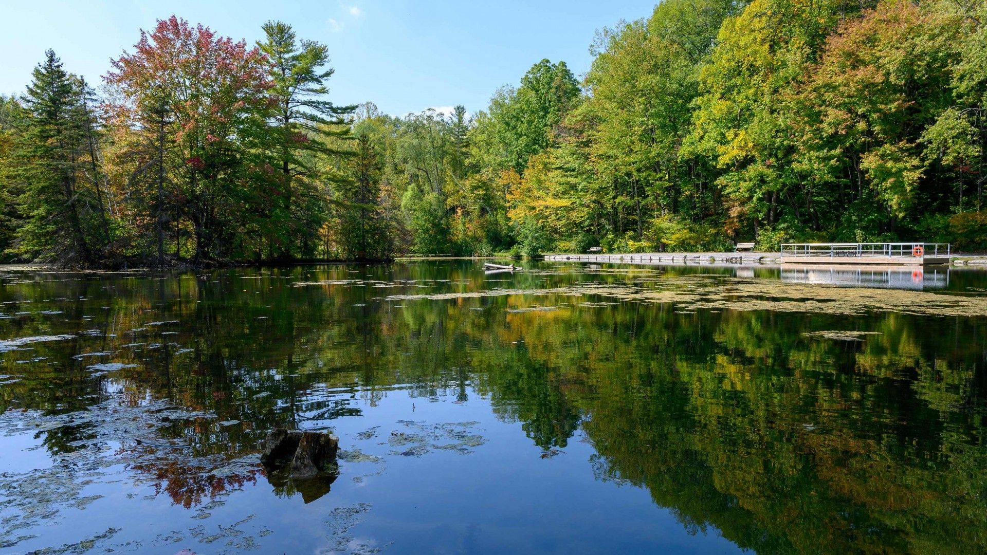 St Johns in early Autumn - Pond and waterfront walkway