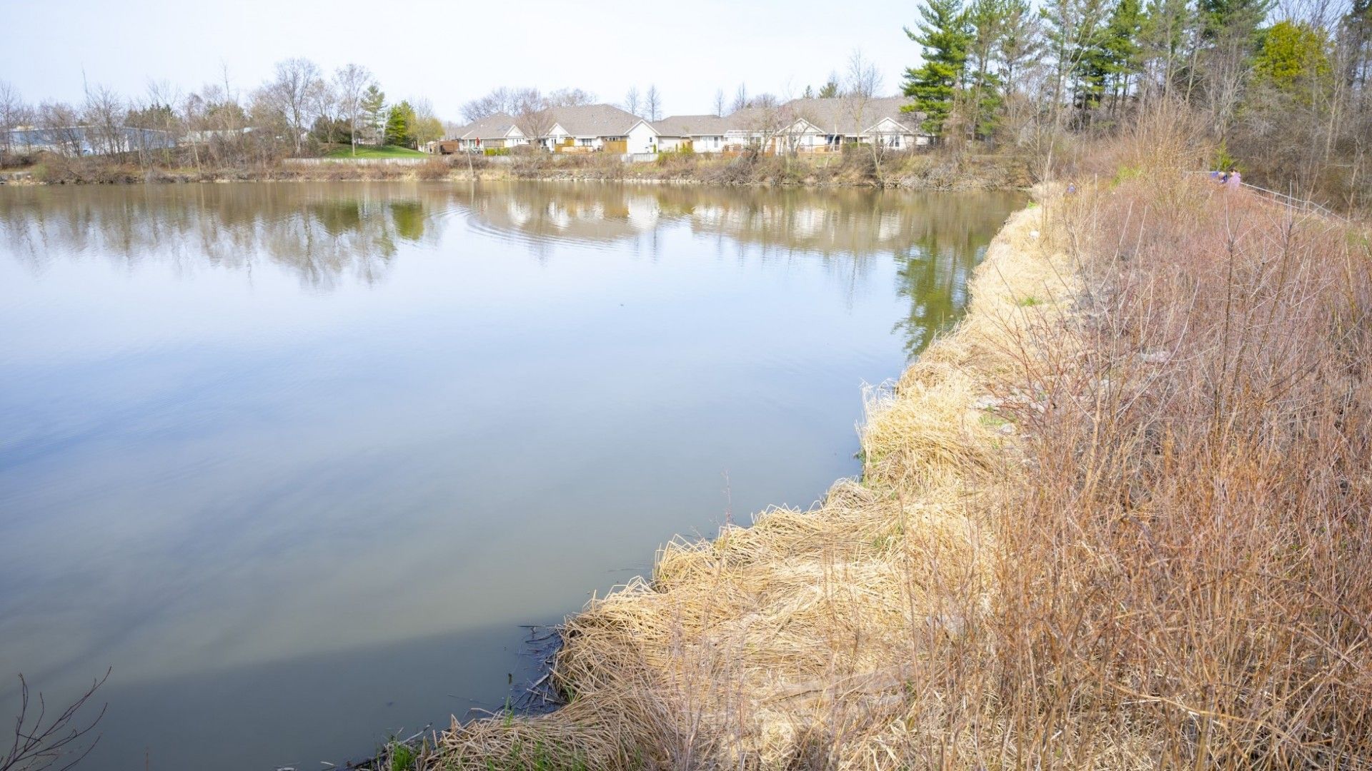 virgil dam early spring