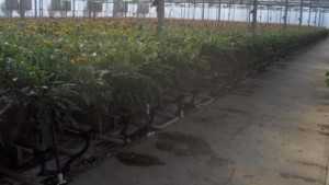 water conservation to help reduce waste