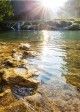 Sun beaming down on shoreline of river. 