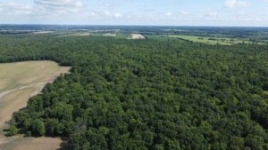 Fralick property aerial shot