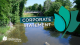 Corporate statement graphic, tulip leaf in blues and greens, background of balls falls creek