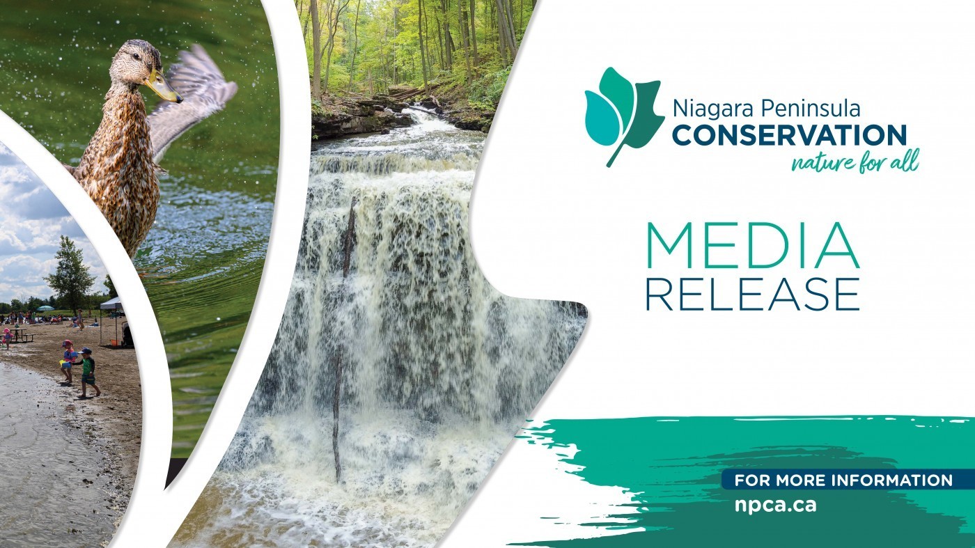 Graphic to share media release, with NPCA colours and logo and wildlife