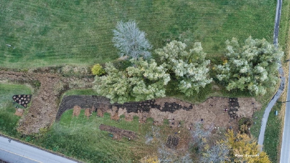 Aerial view of planting by NPCA and FOMC. Trees and shrubs in green space and land. 