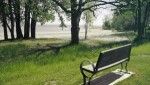 Bench facing beach surrounded by trees and grass