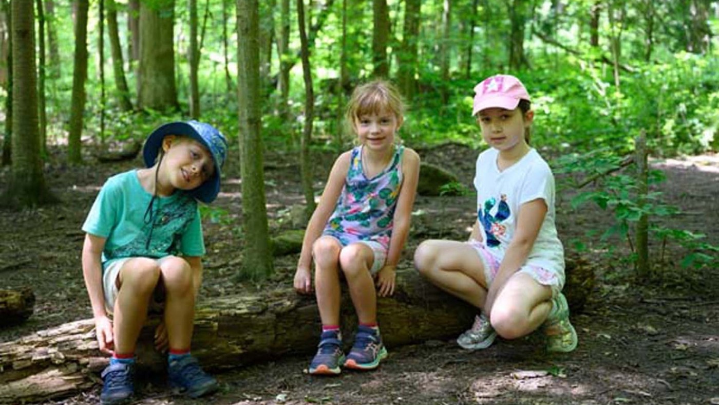 Children in summer camp in the conservation area