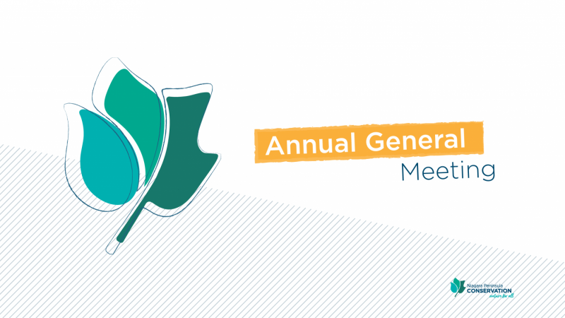 Annual General Meeting Graphic