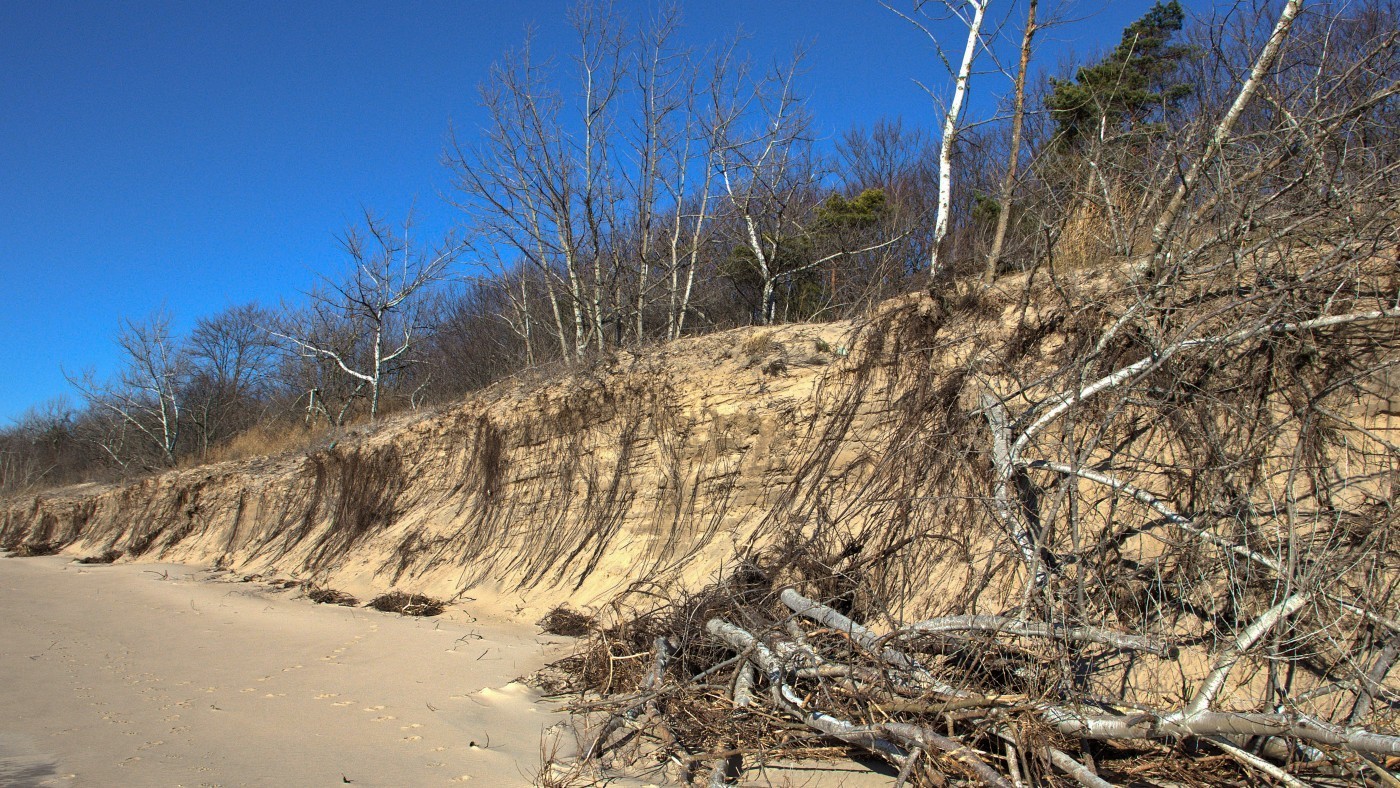 Eroded coastal sand dune at Nickel Beach. Image captured December 14, 2021 following a severe storm a few days prior