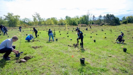 Community members gather to plant native trees and shrubs