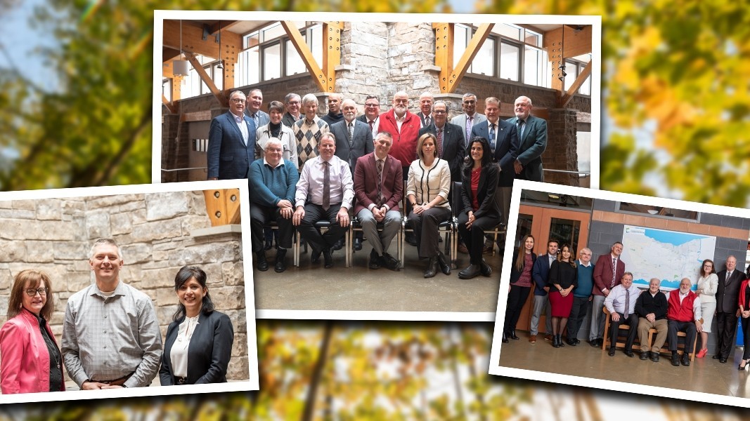 Collage of photos including board of directors, CAO and staff in a yellow flower background