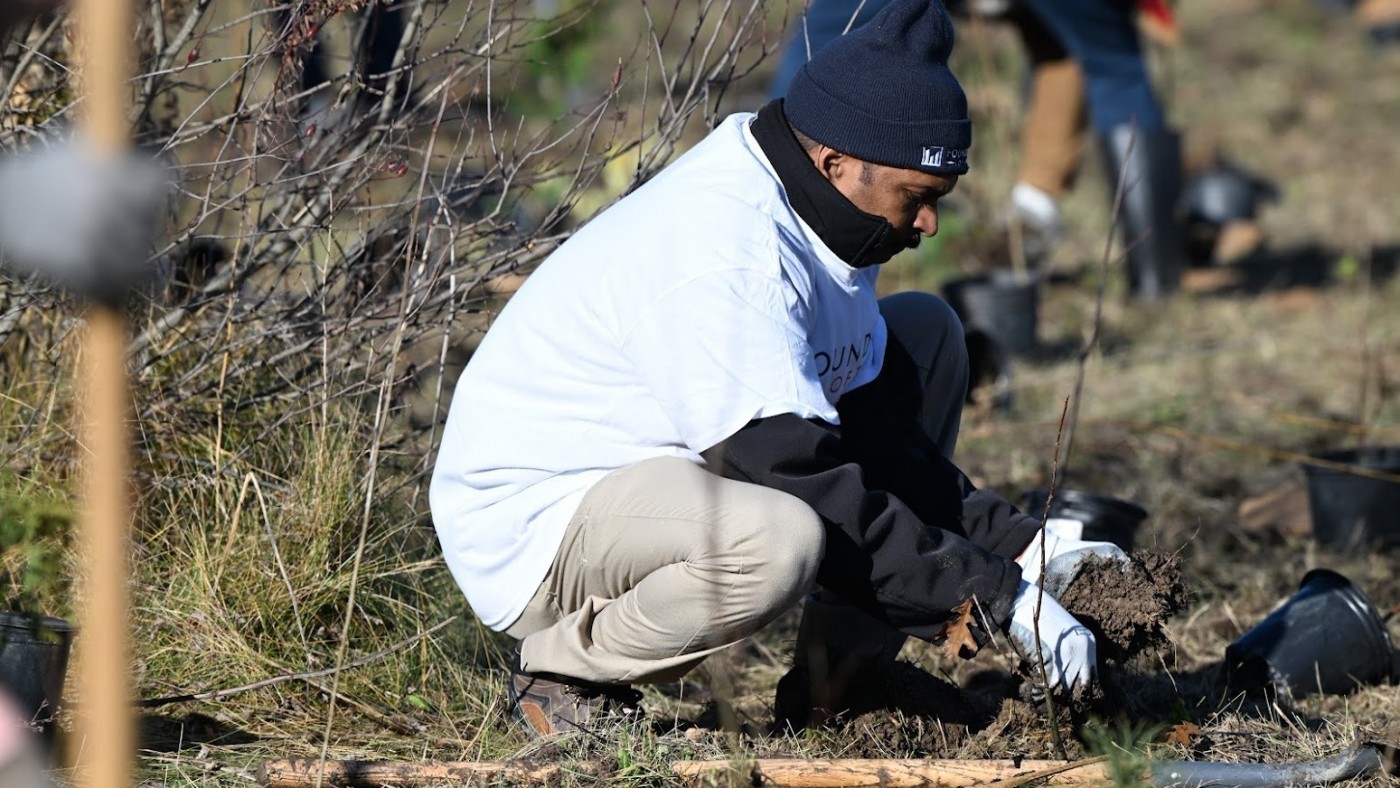 A volunteer plants a tree.