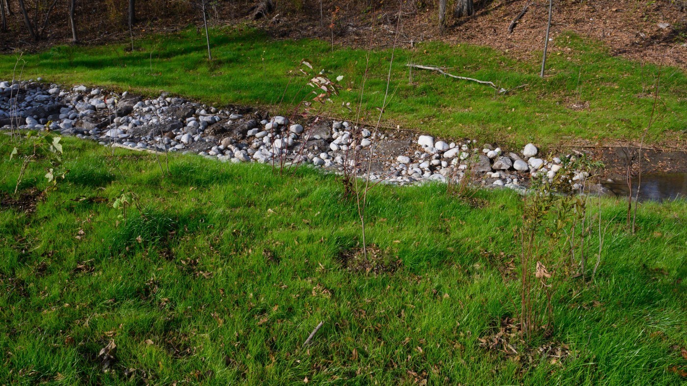 Completed restoration work on 12 Mile Creek 