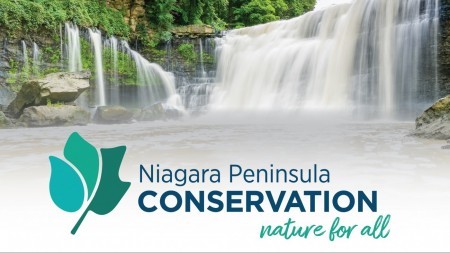 Photo of Balls Falls Conservation Area with NPCA logo 