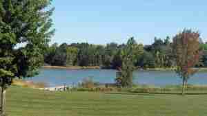 View of shoreline with trees and grass