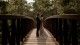 Husband and wife stand on a bridge surrounded by trees.