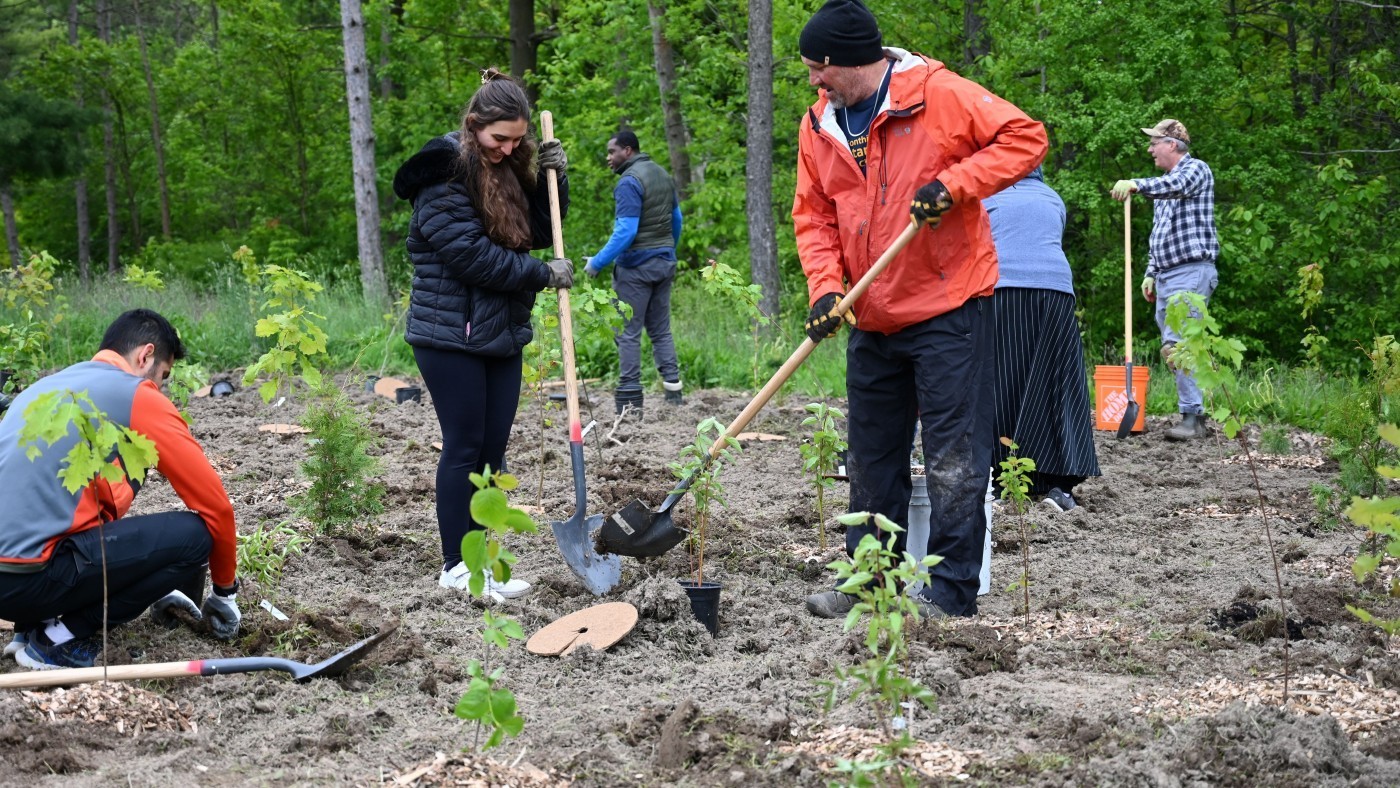 Community members planting trees at Burgoyne Woods