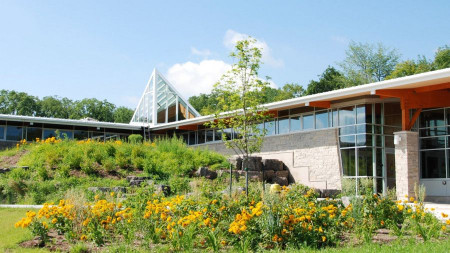 Building with greenery around