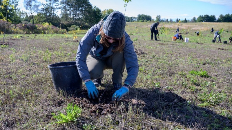 Community member planting trees at park 
