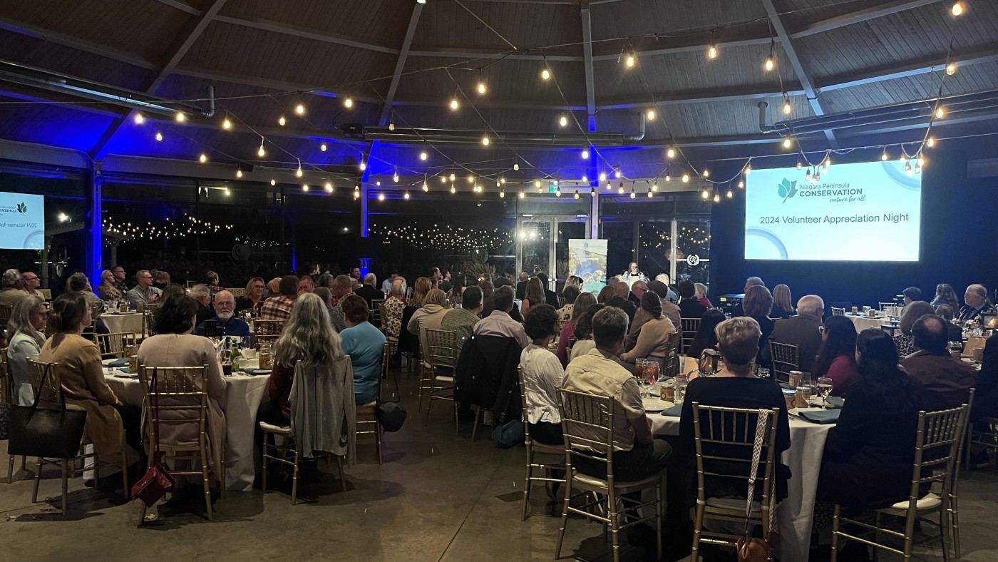 Photo of the Volunteer Appreciation Night at Club Roma showing the crowd enjoying remarks and presentations 