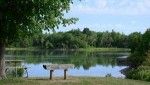 lake in the summer time