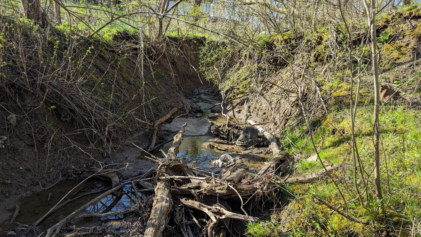 Photo showing erosion on 12 mile creek in Pelham