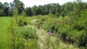 instream habitat to improve watercourse