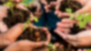 Hands in a circle holding dirt and sprouted plant