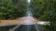 A flooded road, with trees on both sides.