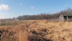 livestock farmland with barn